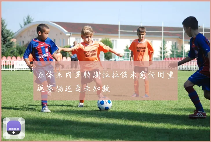 东体米内罗特谢拉拉伤未愈何时重返赛场还是未知数